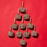 Holiday Sprinkle Caramel Apple